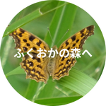 ふくおかの森へ