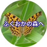 ふくおかの森へ