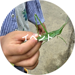 イベント