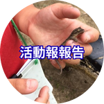 活動報告