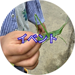 イベント