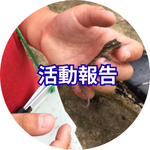活動報告