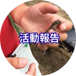 活動報告